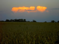 Sunset reflection in Arapahoe, Neb. (Rosie Stockton)