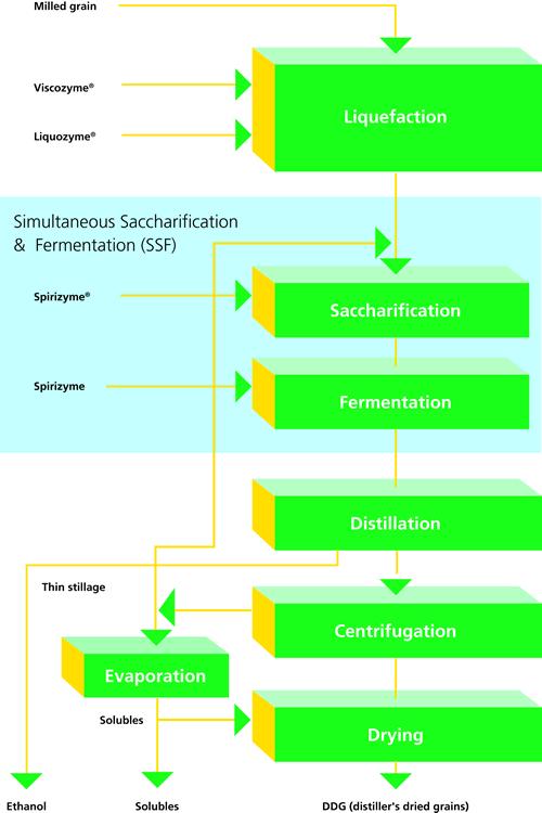 Ethanol Manufacturing Processes