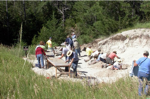 Sand Hills Discovery conferees working the Irwin Quarry site north of Bassett, Neb., July 2008. (Shane Tucker)