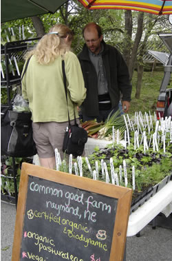 Evrett Lunquist of Common Good Farm, makes a sale. (Tom Lynch)
