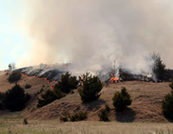 Prescribed fire for control of eastern red cedar (Juniperus virginiana) conducted on April 22, 2009. Lincoln County, Neb. (Terry Riley)
