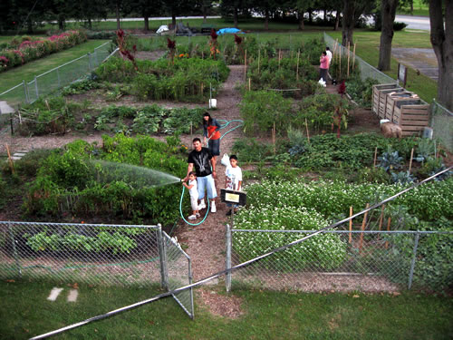 Antelope Church of the Brethren Community Garden has been growing food and community since 2004 in collaboration with Community CROPS. (John W. Doran)
