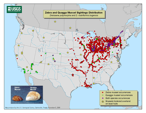 Zebra and quagga mussel distribution in the U.S. November 2009 (USGS)