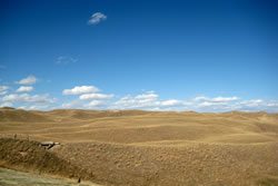 The Sandhills near Dunning, Neb. (Jane Kleeb)