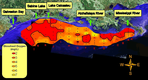 2010 map showing dissolved oxygen in the Gulf of Mexico dead zone (NOAA)