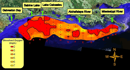 dissolved oxygen in the