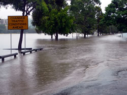Looking toward Riverside Drive in front of the authors&rsquo; apartment toward the suburb of West End in Brisbane. (Paul Gottlieb)
