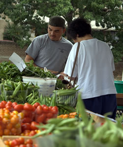 Farmers&rsquo; markets, such as this one in Rockville, Md., are increasingly popular throughout the U.S. and Canada. (Tammy Farrugia)