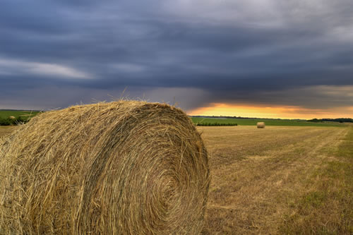“All Wound Up,” taken July 4, 2008, in Holt County, Neb. (Jorn Olsen)