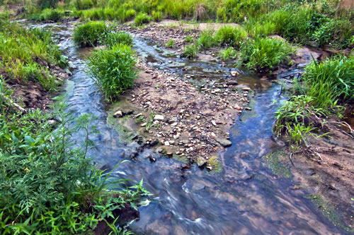 Runnels of water in the Sandhills, August 2012. (Adrian Olivera)
