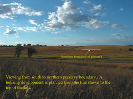 Viewing from Allwine Prairie to northern border where a housing development is planned. (Courtesy of the authors)