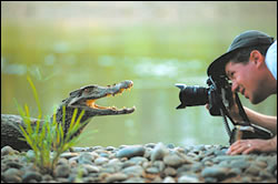 Joel Sartore gets up close with a subject