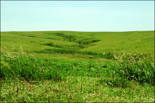 http://www.prairiefirenewspaper.com/files/spring-creek-prairie.jpg